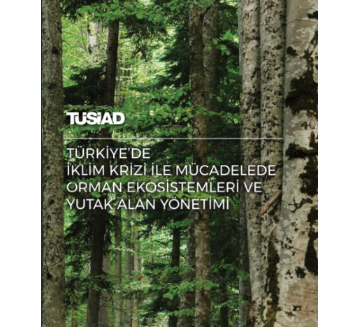 “Türkiye'de İklim Krizi ile Mücadelede Orman Ekosistemleri ve Yutak Alan Yönetimi” Raporu Kamuoyu ile Paylaşıldı