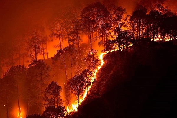Toprağın Nemini Ölçen SMAP Teknolojisi ile Orman Yangınları Önlenecek